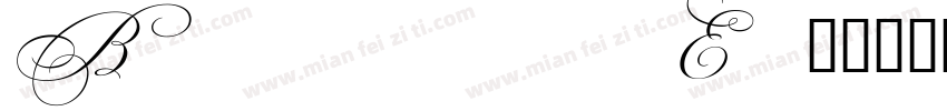 Beautiful Es 常规斜体(西方)字体转换